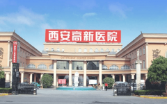 步行300米即可中转高新区独一三甲