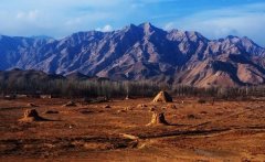 轻的传承人想通过非遗帮力充满了“精气神”的